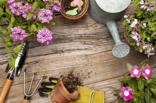 Professional garden clearance in Tooting