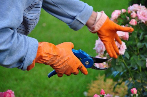 Eco-friendly tools used for hedge trimming in Tooting