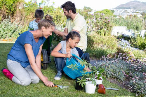 Maintaining a pristine deck with professional care