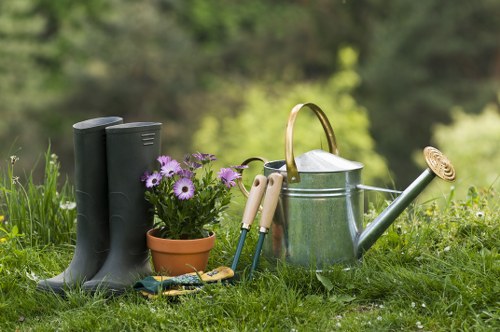 A lush garden space in the heart of Tooting