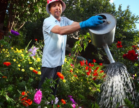 Professional landscaper designing a garden layout in Tooting