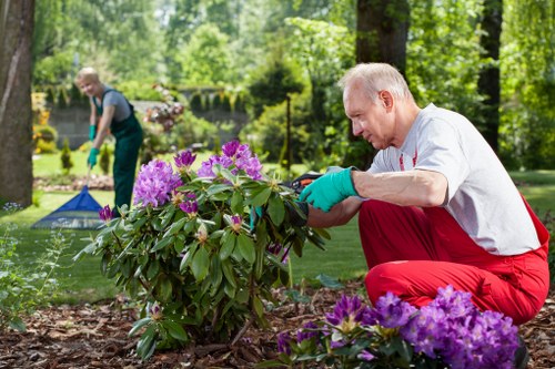 Urban gardeners tending to their plants in Tooting