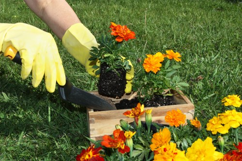 Auditor conducting a supplier audit at a garden maintenance site
