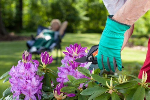 Eco-friendly lawn mowing equipment and tools