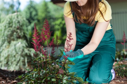 Eco-friendly sustainable landscaping practices in Tooting