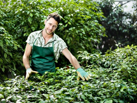 Professional garden services in Tooting
