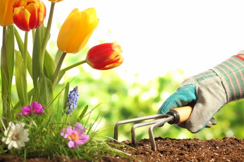Wildlife-friendly garden with birdbath and diverse plant species in Tooting