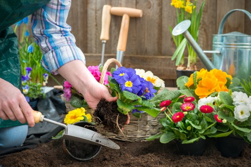 Choosing the right lawn mowing service in Tooting