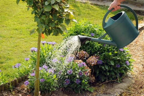 Professional gardener working on a Tooting landscape garden project