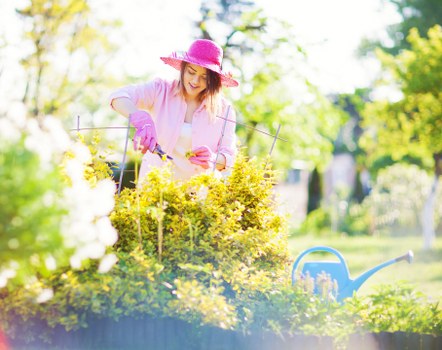 Seasonal garden clearance activities in Tooting