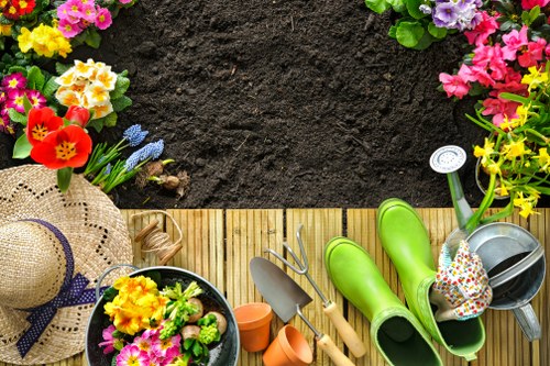 Summer garden maintenance in Tooting