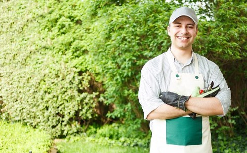 Gardener pruning plants in Tooting