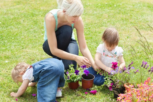 Seasonal lawn care practices in Tooting